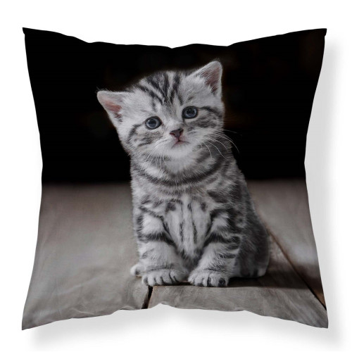 Poszewka Mikrofibra 3D 40x40cm Szary Kotek