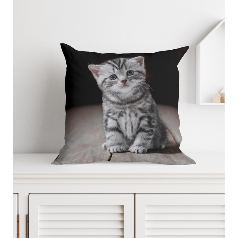 Poszewka Mikrofibra 3D 40x40cm Szary Kotek