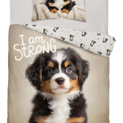 Pościel Młodzieżowa Detexpol 100% Bawełna 160/200 2cz Pies