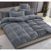 Pościel Clasic Gładka Mikrofibra 160x200 3cz Szara