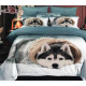 Pościel 3D Satyna Bawełniana 160x200 3cz Husky z Szalikiem