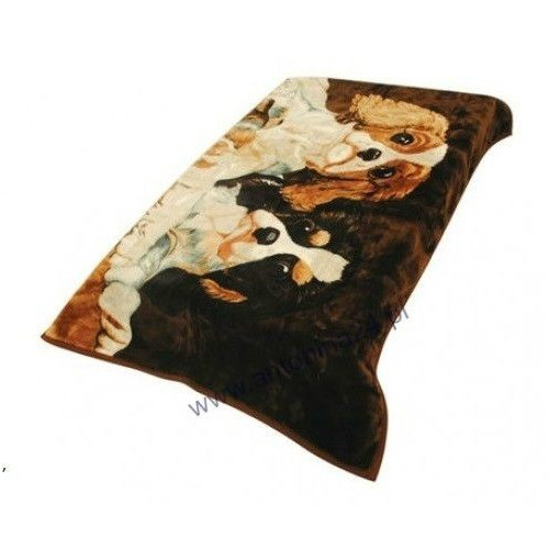 Koc Elway Gruby 160/210cm Bernardyny