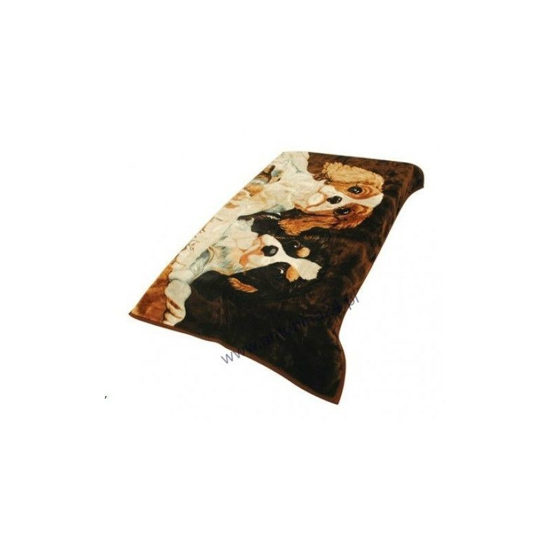 Koc Elway Gruby 160/210cm Bernardyny