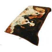 Koc Elway Gruby 160/210cm Bernardyny