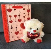 Maskotka Pluszowy Miś 22 cm Z Ozdobną Torbą