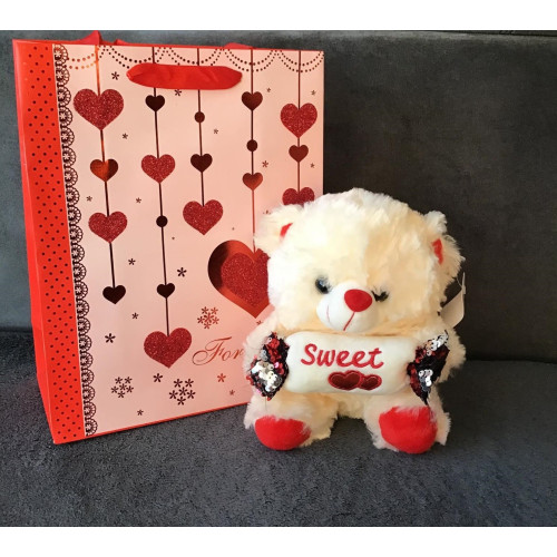 Maskotka Pluszowy Miś 22 Cm Z Ozdobną Torbą