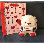 Maskotka Pluszowy Miś 22 Cm Z Ozdobną Torbą