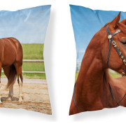 Poszewka 3D 40x40cm Dwustronna Mikrofaza Koń