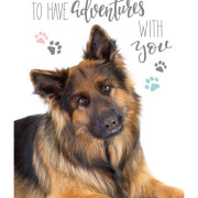 Ręcznik Bawełniany 30x50 Owczarek