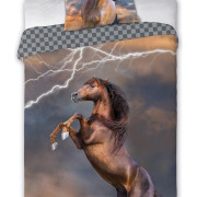 Pościel Młodzieżowa 100% Bawełna 160/200 Horses Piorun