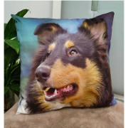 Poszewka Welurowa 40x40cm Pies