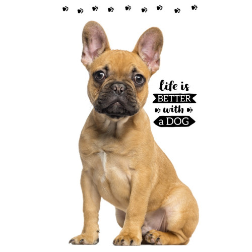 Ręcznik Bawełniany 30x50 Buldog