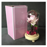 Wieczna Róża W Szkle Świecąca Led Prezent