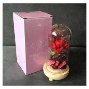Wieczna Róża W Szkle Świecąca Led Prezent Czerwona