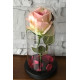 Wieczna Róża W Szkle Świecąca Led Prezent Jasny Róż