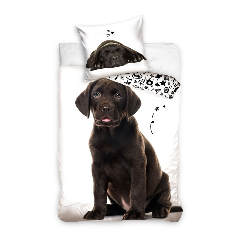 Pościel Młodzieżowa 100% Bawełna 160/200 Labrador