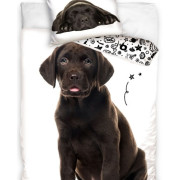 Pościel Młodzieżowa 100% Bawełna 160/200 Labrador