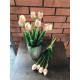 Tulipany Silikonowe 40cm Bukiet 5szt Cieniowany Kremowy