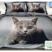 Pościel 3D Satyna Bawełniana 160/200 3cz Kot