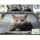 Pościel 3D Satyna Bawełniana 140/200 2cz Kot