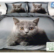 Pościel 3D Satyna Bawełniana 140/200 2cz Kot