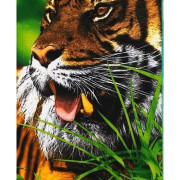 Ręcznik Plażowy 72x146cm Mikrofibra Tygrys