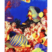 Ręcznik Plażowy 72x146cm Mikrofibra Rybki